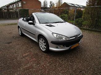 Peugeot 206 CC 1.6 Automaat Leder picture 5