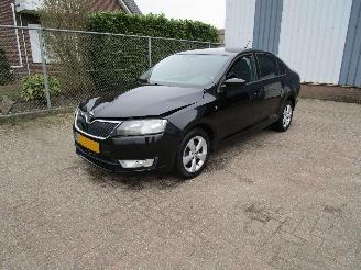 Avarii autoturisme Skoda Rapid 1.2 TSI Navi Clima 6-Bak 2013/7