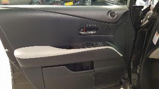 Lexus RX 450H V6 24V VVT-I AUT 4x4 SUV  HYBRID 3.456CC 220KW 299PK picture 9