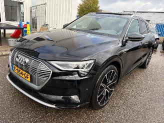 Damaged car Audi E-tron 55 quattro Business edition Plus 95 kWh AUTOMAAT 2020/12
