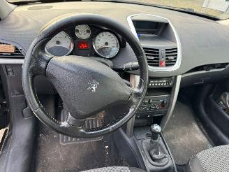 Peugeot 207 1.4-16V XR picture 11