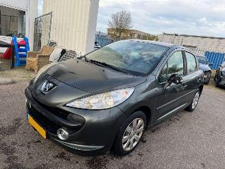 Vaurioauto  passenger cars Peugeot 207 1.4-16V XR 2006/5