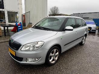 Schadeauto Skoda Fabia Combi 1.2 TDI Greenline 2011/8