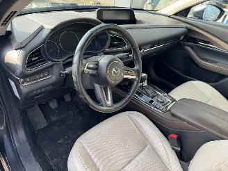 Mazda CX-30 2.0 e-SkyActiv-X M Hybrid Luxury picture 10