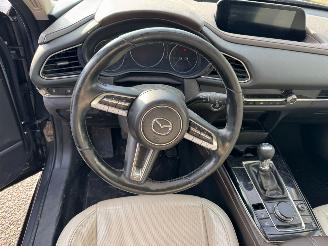 Mazda CX-30 2.0 e-SkyActiv-X M Hybrid Luxury picture 12