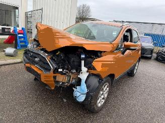 Voiture accidenté Ford EcoSport 1.0 EcoBoost Titanium 2018/3