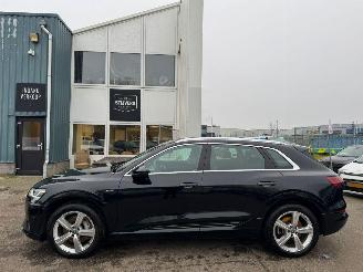 Audi E-tron e-tron 50 quattro Launch edition plus 71 kWh picture 2