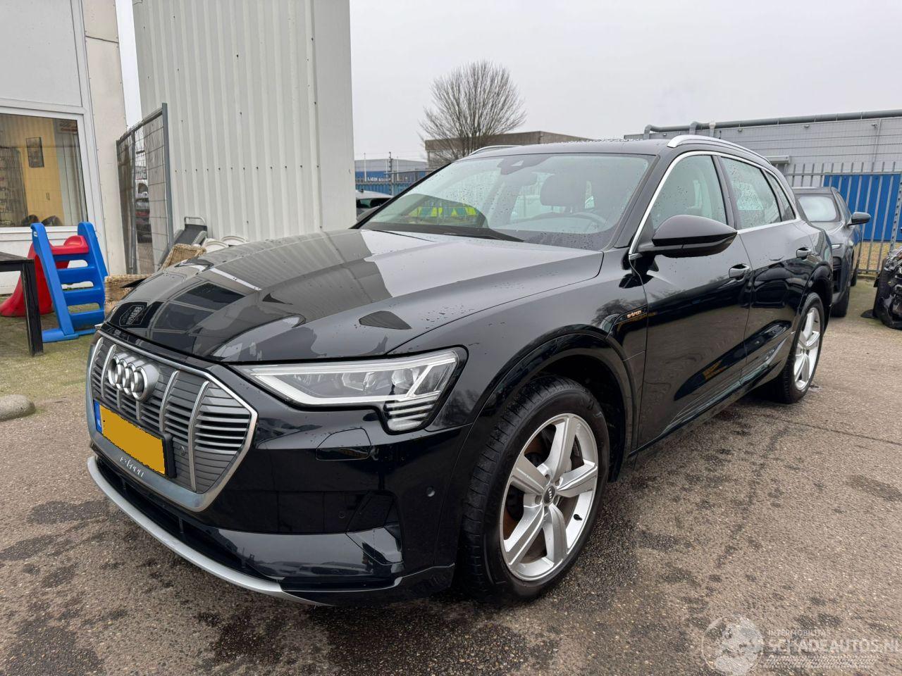 Audi E-tron e-tron 50 quattro Launch edition plus 71 kWh
