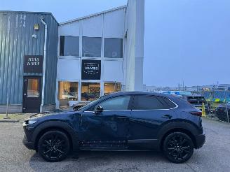 Mazda CX-30 2.0 e-SkyActiv-G M Hybrid Homura picture 2