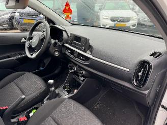 Kia Picanto 1.0 DPi ComfortLine BJ 2024 30346 KM picture 17