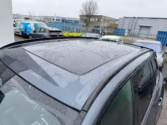 BMW X5 xDrive45e AUTOMAAT High Executive BJ 2021 177.000 KM picture 19