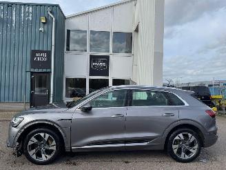 Audi E-tron 55 quattro advanced 95 kWh picture 2