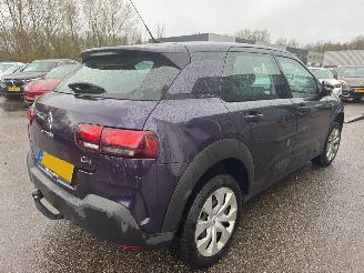 Citroën C4 cactus 1.2 PureTech Business picture 5