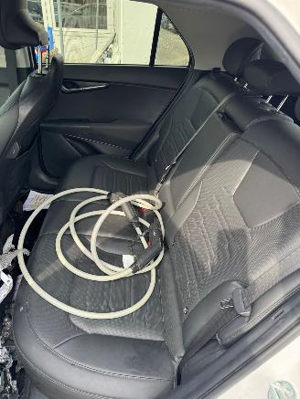 Kia Niro EV DynamicPlusLine 64.8 kWh picture 16
