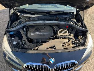 BMW 2-serie Gran Tourer 218i AUTOMAAT 7p. High Executive Launch Edition picture 10