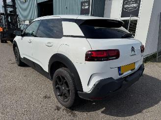 Citroën C4 cactus 1.2 PureTech Shine picture 3