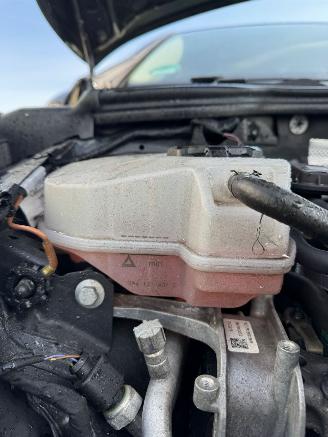 Volkswagen Golf Volkswagen Golf 1.5 TSI Highline Business R picture 14