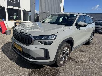 skadebil auto Skoda Kodiaq 1.5 TSI MHEV Business Edition 7p 2024/6