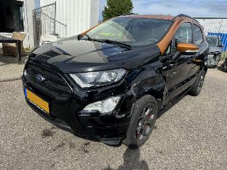 Ford EcoSport 1.0 EcoBoost Titanium picture 6