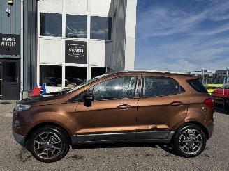 Ford EcoSport 1.0 EcoBoost Titanium picture 5