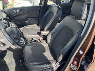Ford EcoSport 1.0 EcoBoost Titanium picture 13