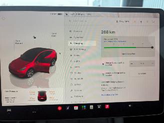 Tesla Model Y RWD 58 kWh picture 16