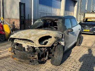 Mini Countryman Countryman (R60), SUV, 2010 / 2016 1.6 16V Cooper S picture 2