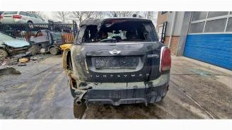 Mini Countryman Countryman (F60), SUV, 2016 1.5 TwinPower Turbo 12V Cooper SE ALL4 picture 5