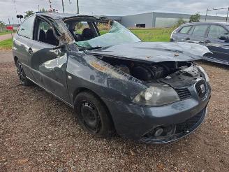 Seat Ibiza Ibiza III (6L1), Hatchback, 2002 / 2009 1.4 16V 85 picture 9