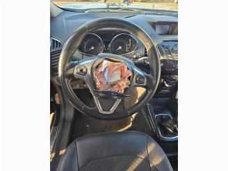 Ford EcoSport EcoSport (JK8), SUV, 2013 1.0 EcoBoost 12V 125 picture 14