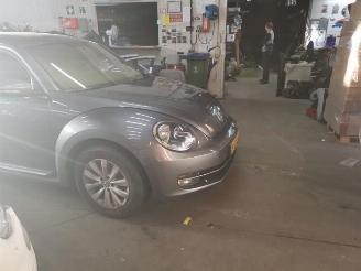 Volkswagen Beetle Beetle (16AB), Hatchback 3-drs, 2011 / 2019 1.2 TSI picture 3