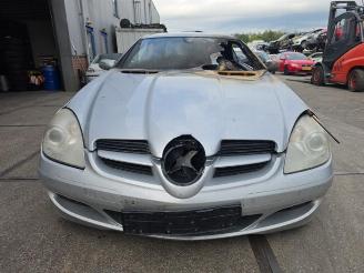 disassembly passenger cars Mercedes SLK SLK (R171), Cabrio, 2004 / 2011 1.8 200 K 16V 2007/4