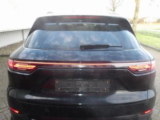 Porsche Cayenne  picture 43
