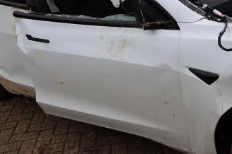 Tesla Model 3 Model 3, Sedan, 2017 Long Range, Performance AWD picture 19