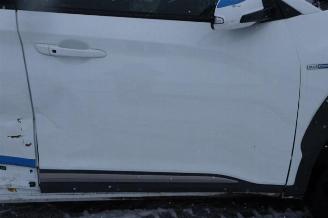 Hyundai Kona Kona (OS), SUV, 2017 / 2023 64 kWh picture 14