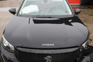 Peugeot 2008 2008 (UD/UK/UR/US/UX), MPV, 2019 e-2008 50 kWh picture 20