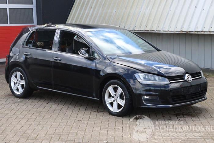 Volkswagen Golf Golf VII (AUA), Hatchback, 2012 / 2021 1.6 TDI 16V