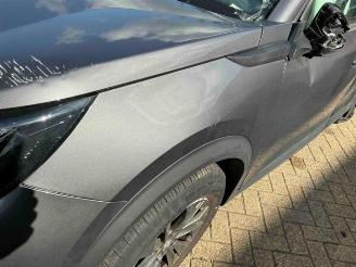 Peugeot 2008 2008 (UD/UK/UR/US/UX), MPV, 2019 1.2 VTi 12V PureTech 100 picture 10