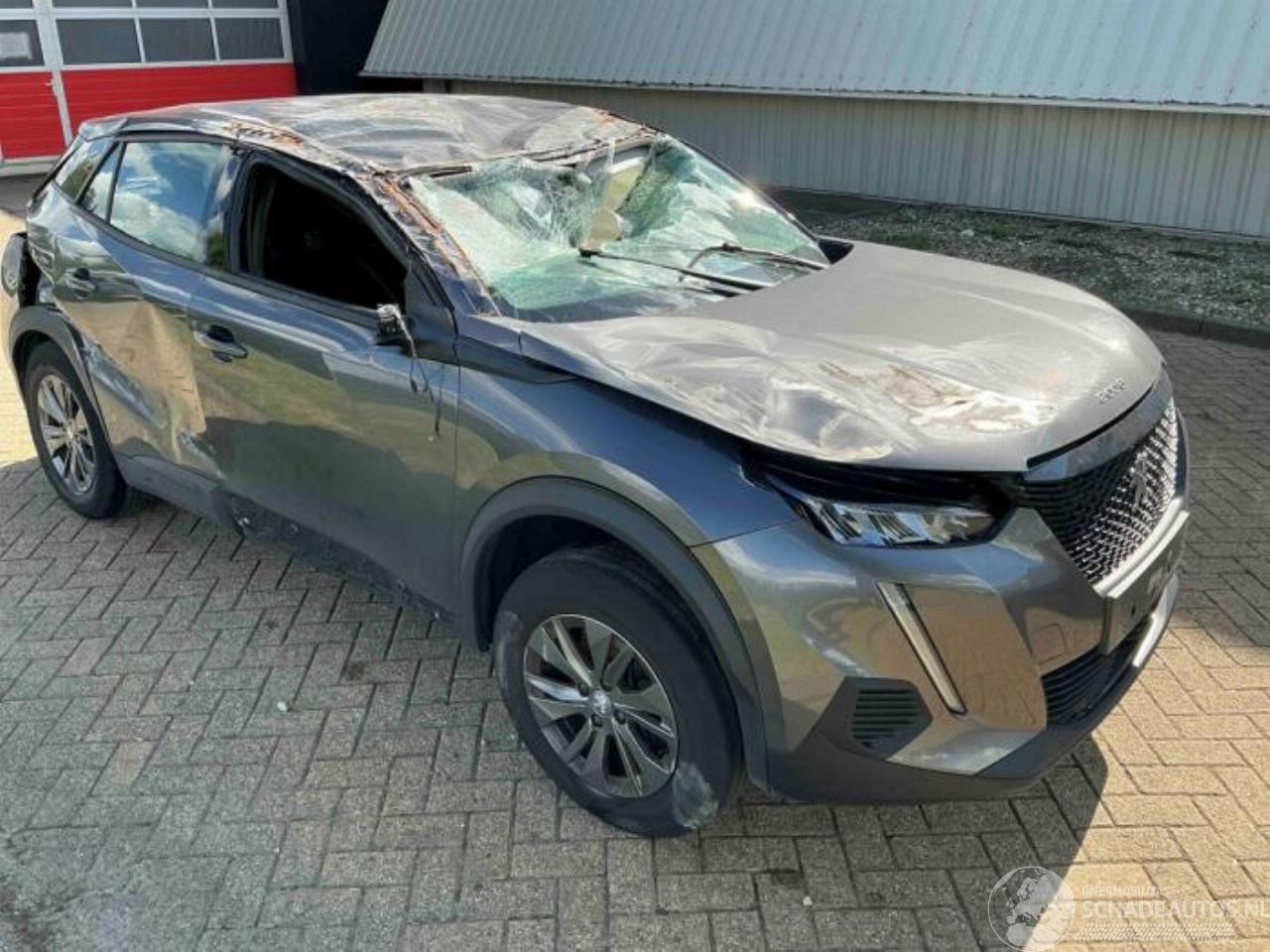 Peugeot 2008 2008 (UD/UK/UR/US/UX), MPV, 2019 1.2 VTi 12V PureTech 100