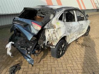 Ford Kuga Kuga III (DFK), SUV, 2019 2.5 PHEV 16V picture 7