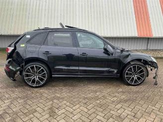 Audi SQ5 SQ5 (8RB), SUV, 2012 / 2017 3.0 TDI V6 24V picture 1
