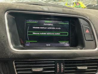 Audi SQ5 SQ5 (8RB), SUV, 2012 / 2017 3.0 TDI V6 24V picture 5