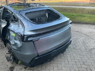 Tesla Model Y Model Y, SUV, 2025 RWD 58 kWh, Long Range RWD 75 kWh picture 24