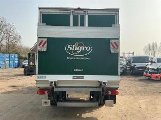 Renault Master Master III (EV/HV/UV/VA/VB/VD/VF/VG/VJ), Chassis-Cabine, 2010 2.3 dCi 165 16V RWD picture 6