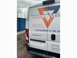 Fiat Ducato Ducato (250), Bus, 2006 2.3 D 130 Multijet Minibus Extralongo picture 20