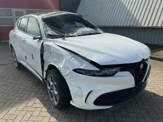 Alfa Romeo Tonale Tonale, SUV, 2022 1.3 T Hybrid Q4 picture 2