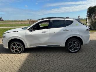 Alfa Romeo Tonale Tonale, SUV, 2022 1.3 T Hybrid Q4 picture 6