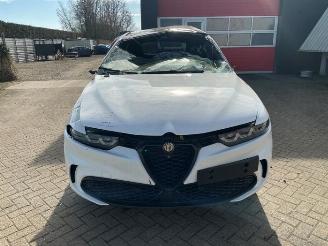 Dezmembrări autoturisme Alfa Romeo Tonale Tonale, SUV, 2022 1.3 T Hybrid Q4 2025/1