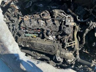 Audi Q3 RS Q3 (8UB/8UG), SUV, 2013 / 2018 2.5 20V TFSI Quattro Performance picture 28