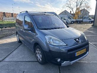 Avarii autoturisme Peugeot Partner Tepee 1.6 XT 2008/8